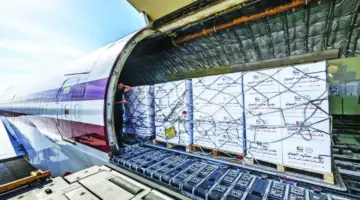 هبوط طائرة مساعدات في العريش محملة بـ100 طن